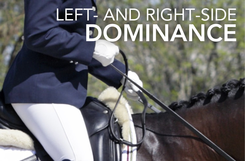 Left- and Right-Side Dominance - Equine Science Matters™